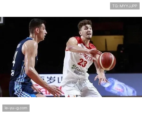 申京在篮下高效内线得分显著超越队内其他内线球员